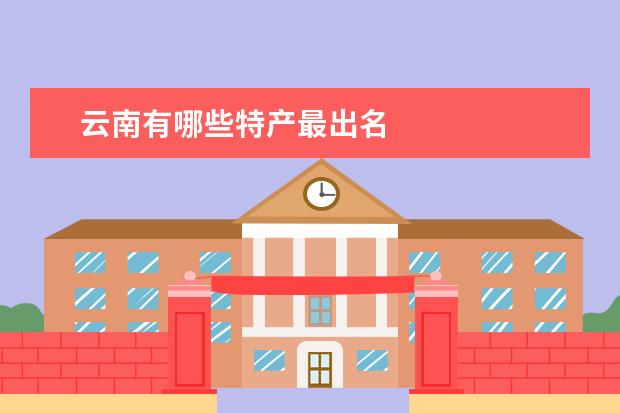 云南有哪些特产最出名