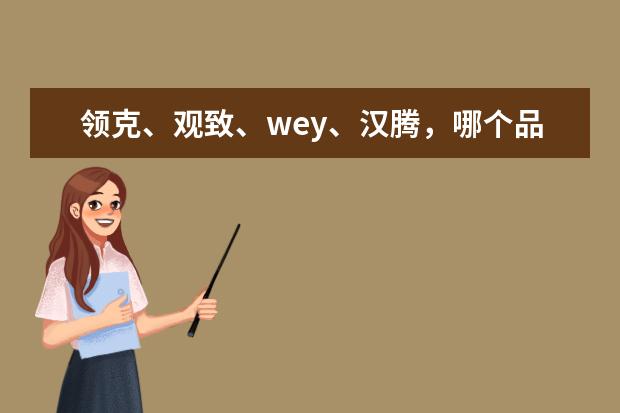 领克、观致、wey、汉腾，哪个品牌更有潜力？