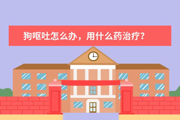狗呕吐怎么办，用什么药治疗？