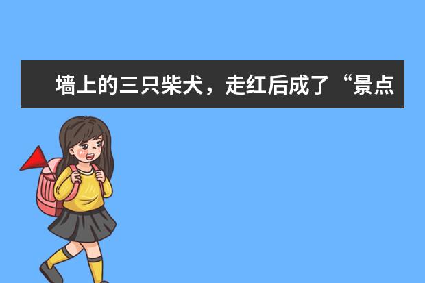 墙上的三只柴犬，走红后成了“景点”，院内生活很有情调（北京可以带狗狗去玩的地方）