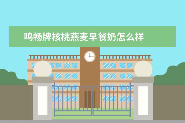 鸣畅牌核桃燕麦早餐奶怎么样