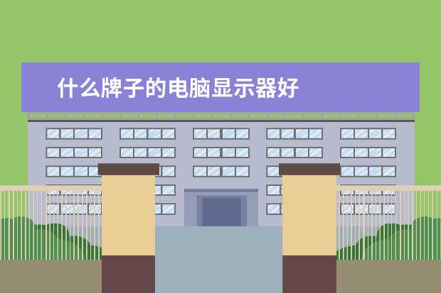 什么牌子的电脑显示器好