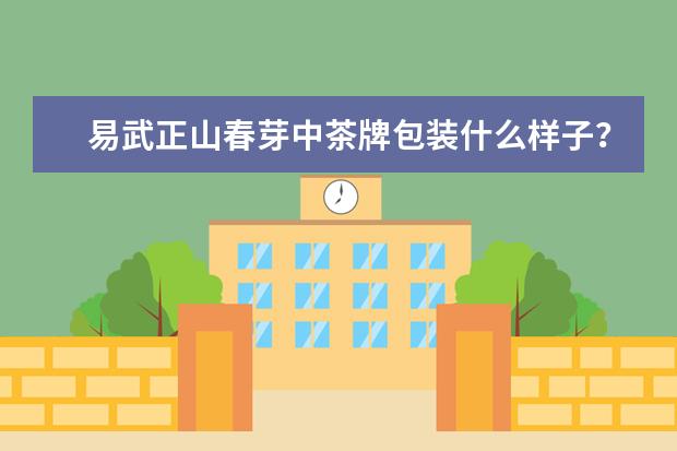 易武正山春芽中茶牌包装什么样子？
