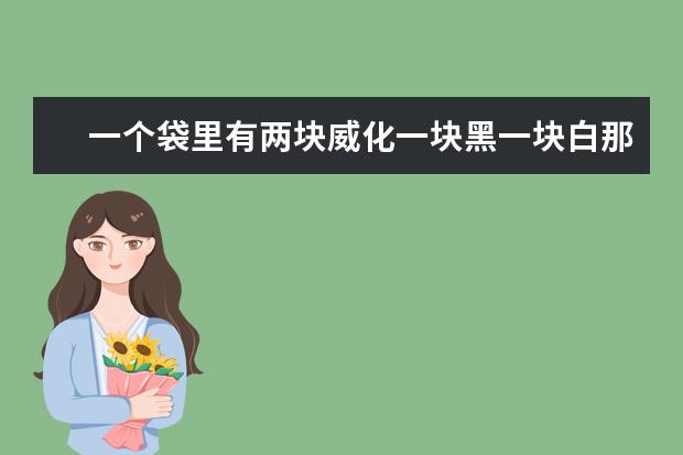 一个袋里有两块威化一块黑一块白那种零食叫什么名字