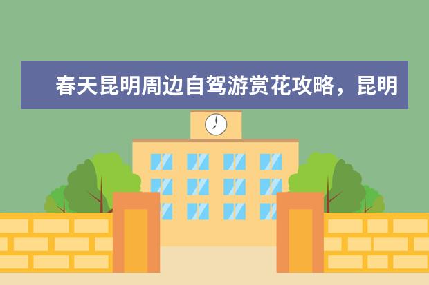 春天昆明周边自驾游赏花攻略，昆明春天最美的花海都在这里 春节昆明自驾游攻略昆明自驾游推荐