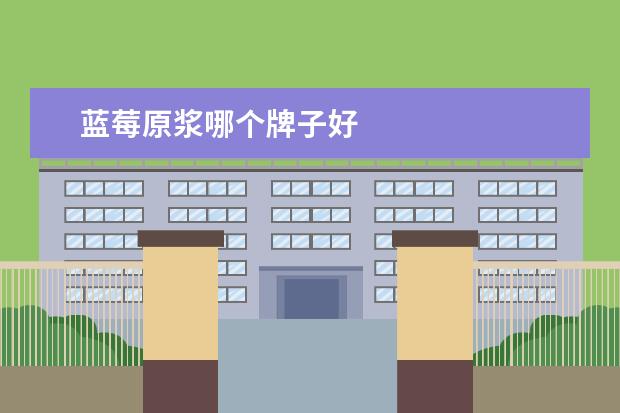 蓝莓原浆哪个牌子好