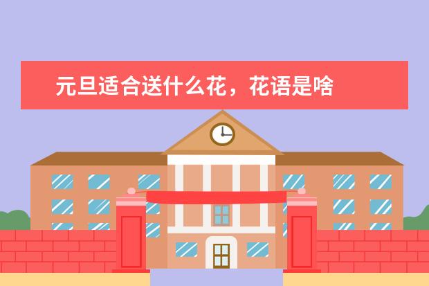 元旦适合送什么花，花语是啥