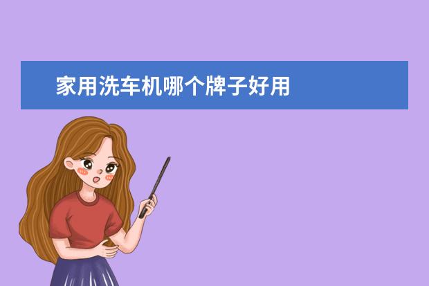 家用洗车机哪个牌子好用