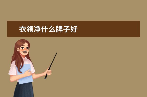 衣领净什么牌子好