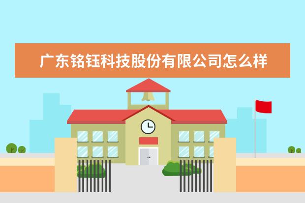 广东铭钰科技股份有限公司怎么样