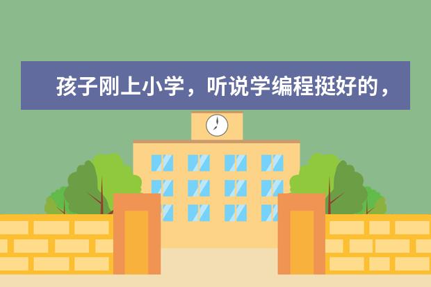 孩子刚上小学，听说学编程挺好的，请问在晋城哪里可以学少儿编程？