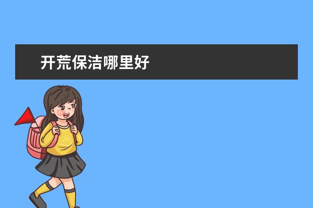 开荒保洁哪里好