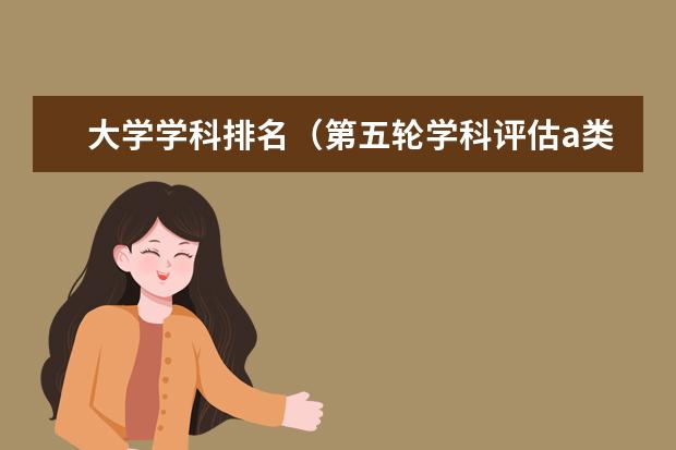 大学学科排名（第五轮学科评估a类数量排名）