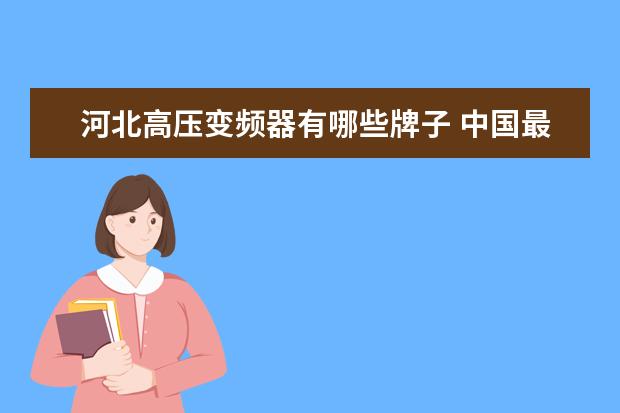 河北高压变频器有哪些牌子 中国最好的变频企业排名