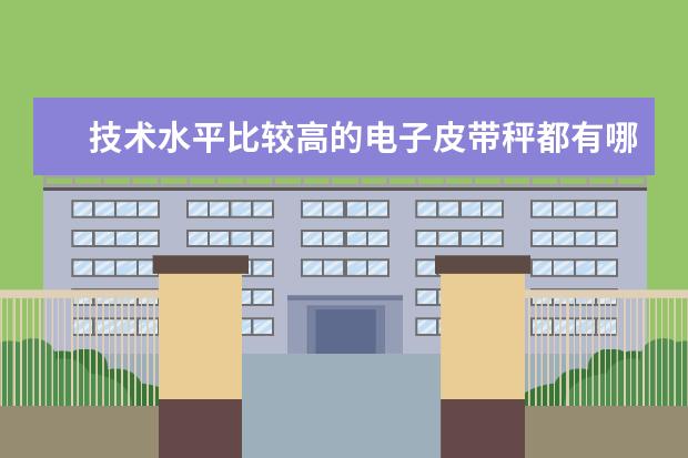 技术水平比较高的电子皮带秤都有哪些品牌？