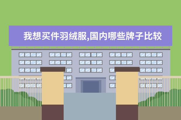 我想买件羽绒服,国内哪些牌子比较好?