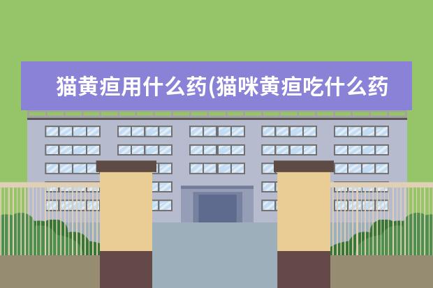 猫黄疸用什么药(猫咪黄疸吃什么药)