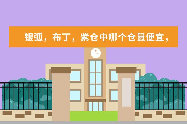 银弧，布丁，紫仓中哪个仓鼠便宜，好养，寿命长还温柔？！