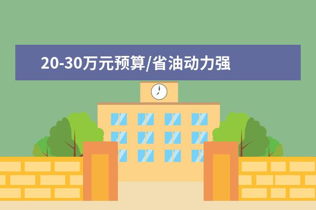20-30万元预算/省油动力强 这几款大空间中型SUV如何选？