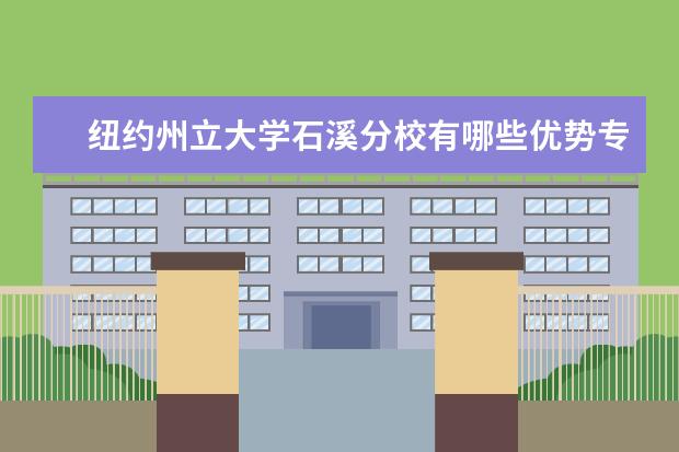 纽约州立大学石溪分校有哪些优势专业？