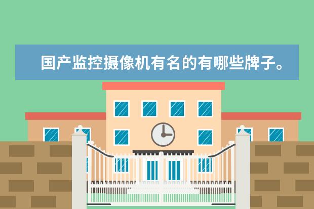 国产监控摄像机有名的有哪些牌子。