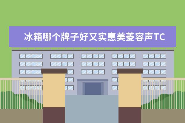 冰箱哪个牌子好又实惠美菱容声TCL和海尔实惠