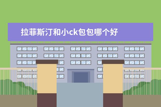 拉菲斯汀和小ck包包哪个好