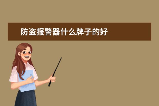 防盗报警器什么牌子的好