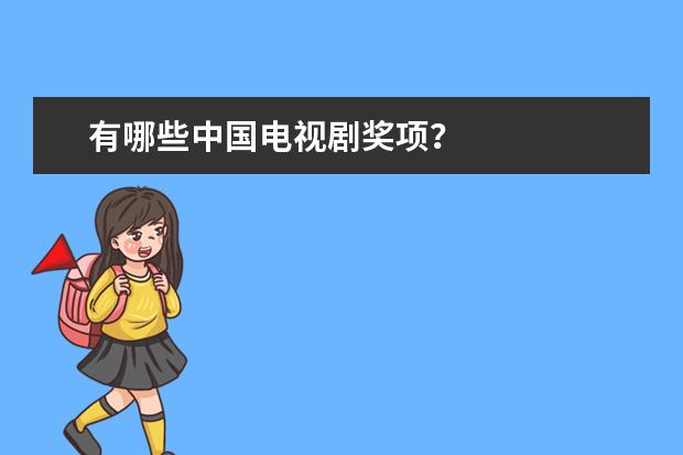 有哪些中国电视剧奖项？
