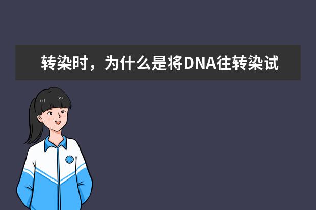 转染时，为什么是将DNA往转染试剂里加？