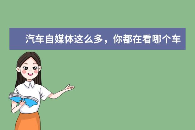 汽车自媒体这么多，你都在看哪个车评人的？