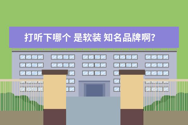 打听下哪个 是软装 知名品牌啊？