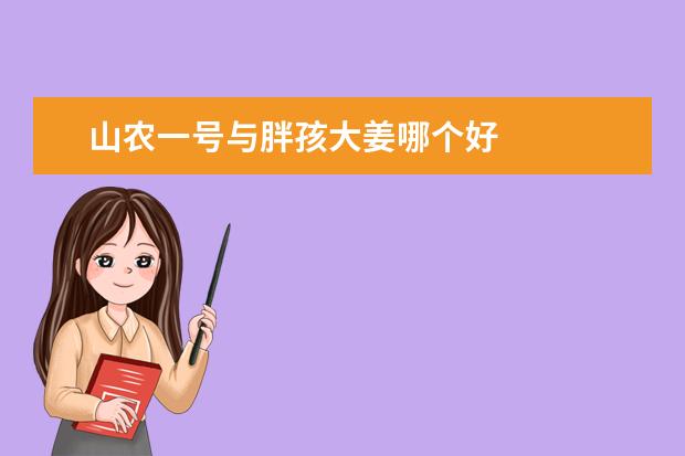 山农一号与胖孩大姜哪个好