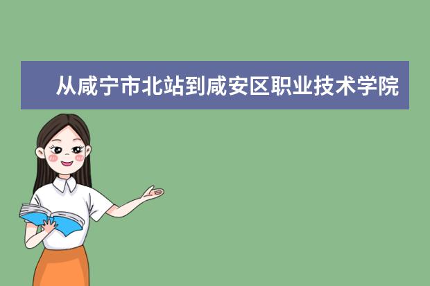 从咸宁市北站到咸安区职业技术学院怎么坐公交