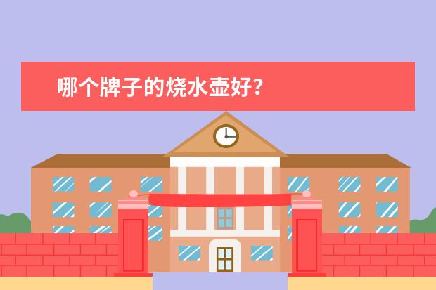 哪个牌子的烧水壶好？