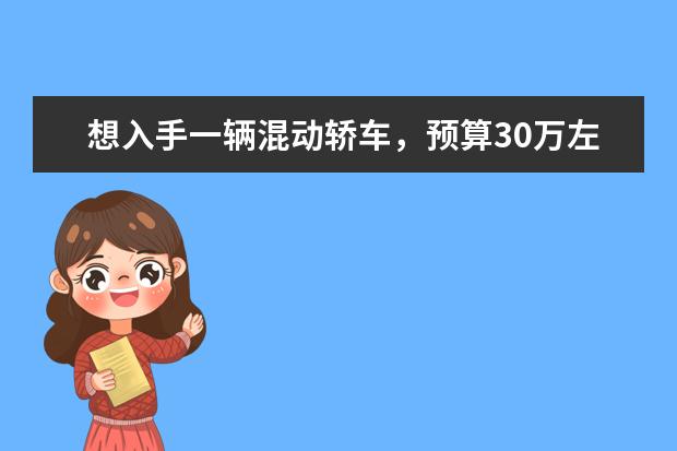 想入手一辆混动轿车，预算30万左右，有哪些车型推荐?