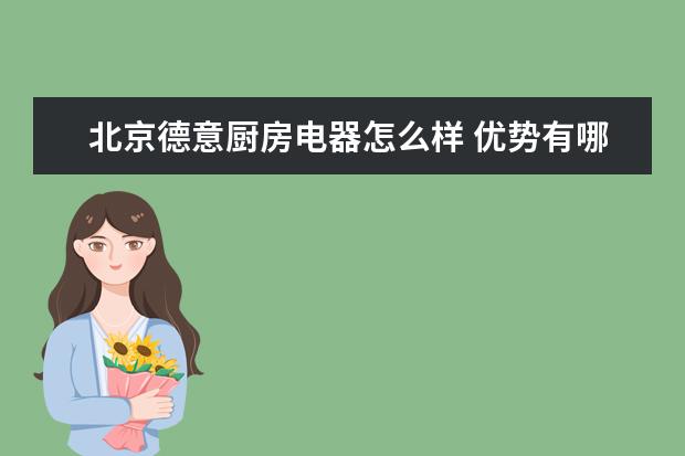 北京德意厨房电器怎么样 优势有哪些
