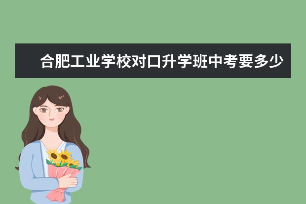 合肥工业学校对口升学班中考要多少分可以上
