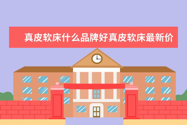 真皮软床什么品牌好真皮软床最新价格