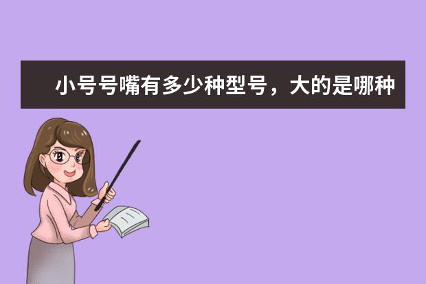 小号号嘴有多少种型号，大的是哪种，小的是哪种。专业演奏者用的是哪种型号