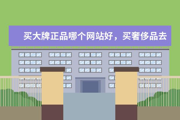 买大牌正品哪个网站好，买奢侈品去哪个网站有正品