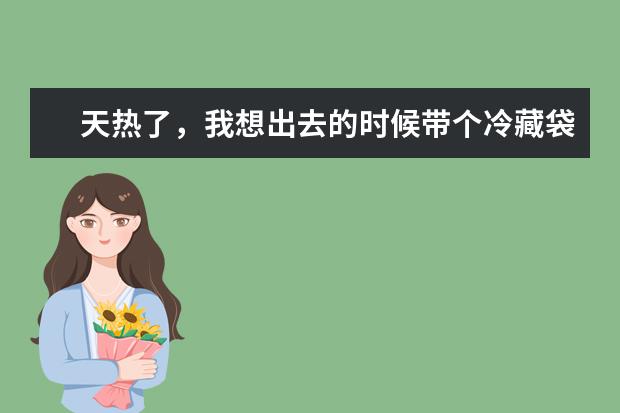天热了，我想出去的时候带个冷藏袋，好方便携带饮料，请问干冰，蓝冰，一般的冰袋，这三种，放那种冰好些 干冰清洗机的优势对比