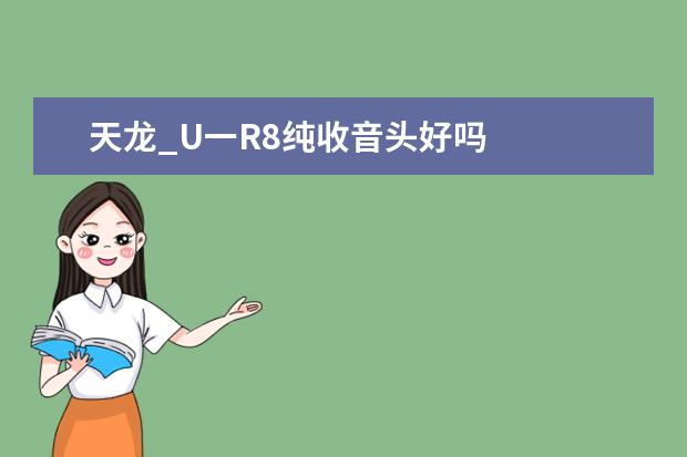 天龙_U一R8纯收音头好吗