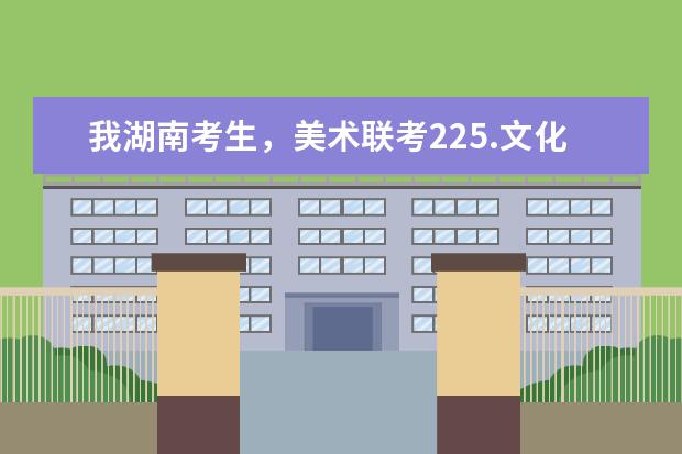我湖南考生，美术联考225.文化加民族分276.请问我报哪些专科学校上的起？
