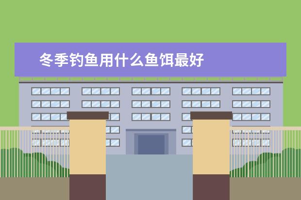 冬季钓鱼用什么鱼饵最好