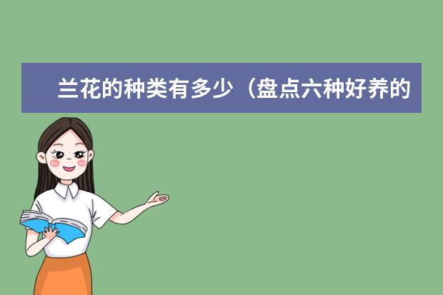 兰花的种类有多少（盘点六种好养的兰花品种）
