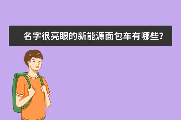 名字很亮眼的新能源面包车有哪些？“海豚”“成功”齐上阵