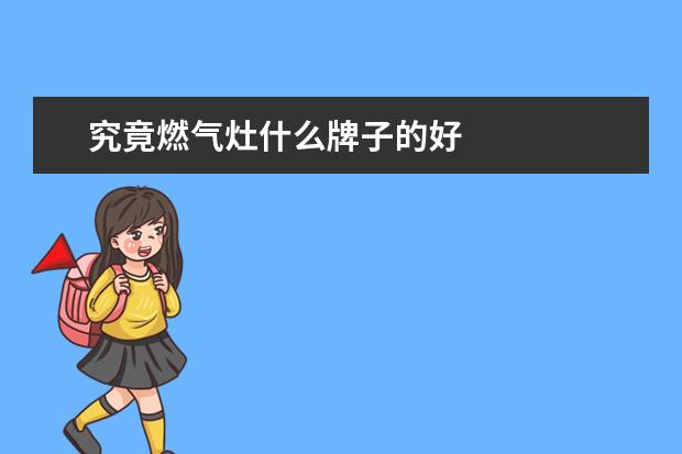究竟燃气灶什么牌子的好