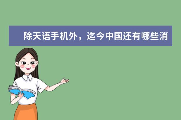 除天语手机外，迄今中国还有哪些消亡的国产手机品牌？