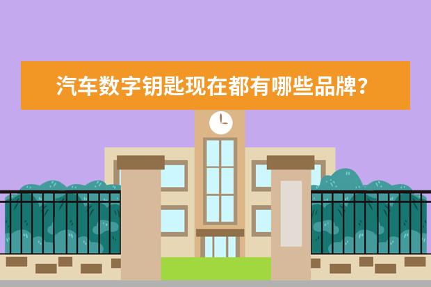 汽车数字钥匙现在都有哪些品牌？